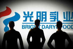 宋清輝 光明乳業企業管理與治理結構漏洞凸顯，亟待深化改革